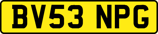 BV53NPG