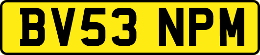BV53NPM
