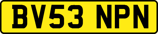 BV53NPN