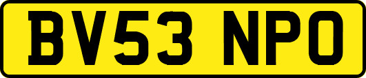 BV53NPO