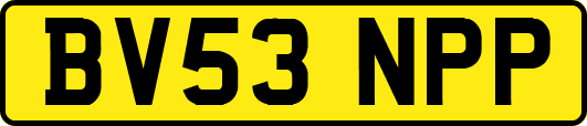 BV53NPP