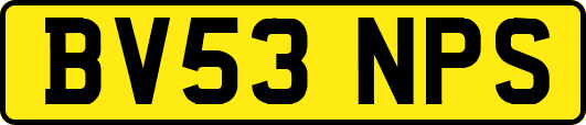 BV53NPS