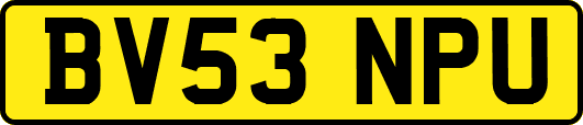 BV53NPU