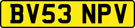 BV53NPV