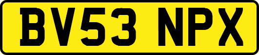 BV53NPX