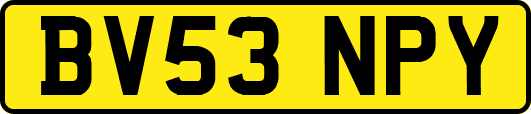 BV53NPY
