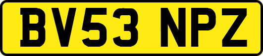 BV53NPZ