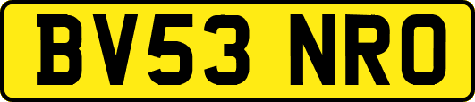 BV53NRO