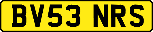 BV53NRS