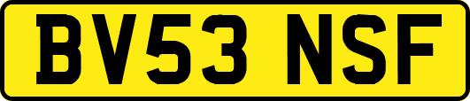 BV53NSF