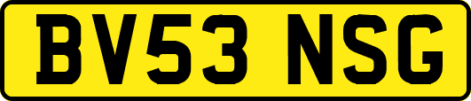 BV53NSG