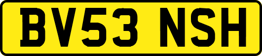 BV53NSH