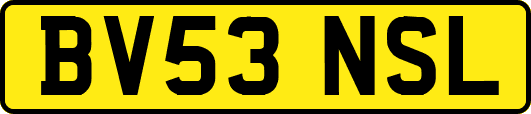 BV53NSL