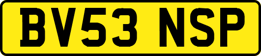BV53NSP