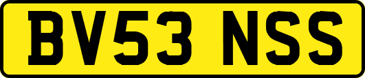 BV53NSS
