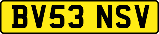 BV53NSV