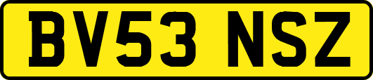 BV53NSZ