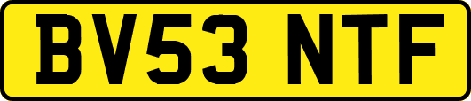 BV53NTF