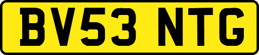 BV53NTG