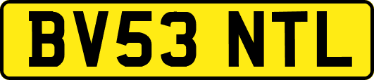 BV53NTL
