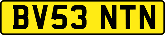 BV53NTN