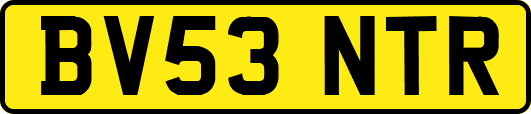 BV53NTR