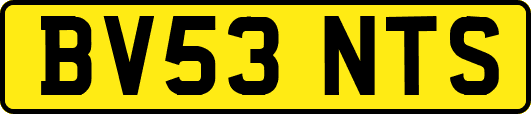 BV53NTS