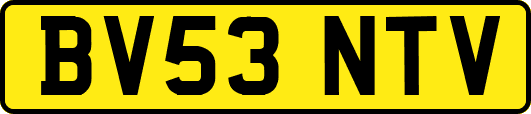 BV53NTV