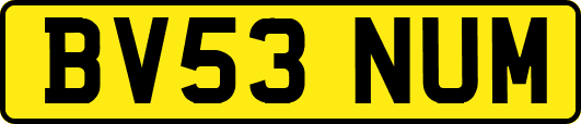 BV53NUM