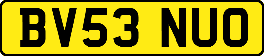 BV53NUO