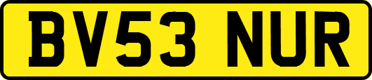 BV53NUR