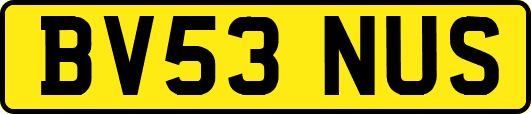 BV53NUS