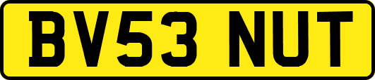 BV53NUT