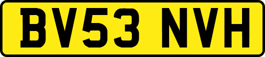 BV53NVH