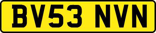 BV53NVN