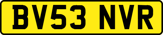 BV53NVR