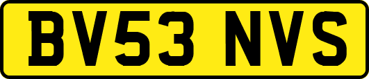 BV53NVS