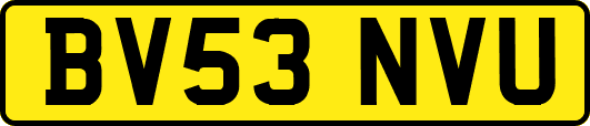 BV53NVU