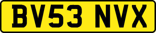 BV53NVX