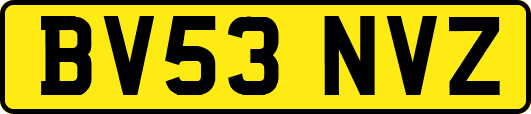 BV53NVZ