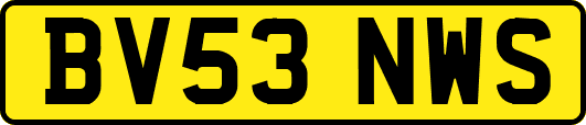 BV53NWS