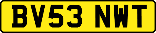 BV53NWT