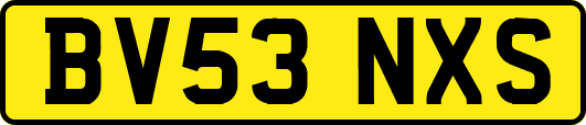 BV53NXS