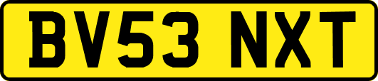 BV53NXT