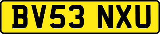 BV53NXU