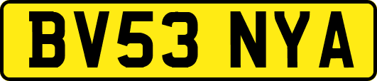 BV53NYA