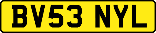 BV53NYL