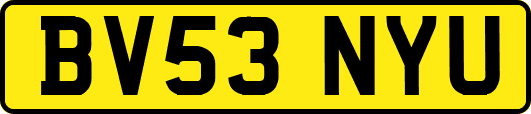 BV53NYU