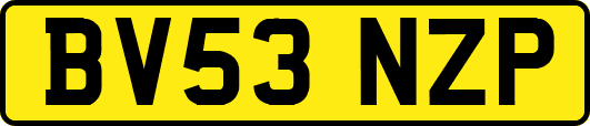 BV53NZP