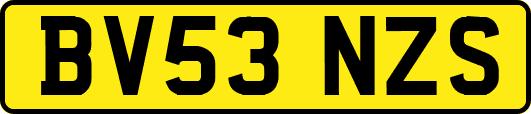 BV53NZS